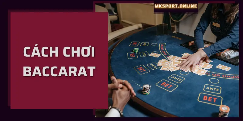 Cách chơi Baccarat cho người mới