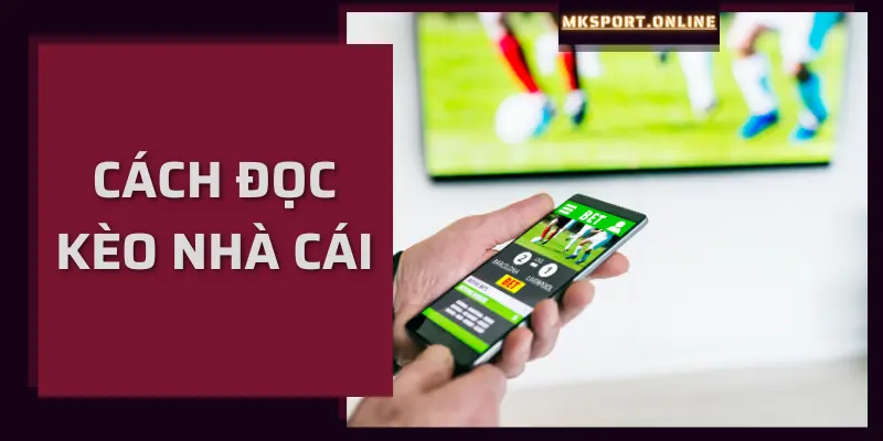 Cách đọc kèo nhà cái MKSport