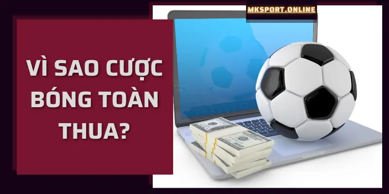 MKSpor chỉ ra lý do cược bóng toàn thua