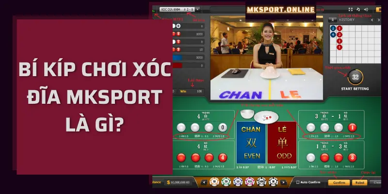 Mẹo chơi xóc đĩa online tại Mksport